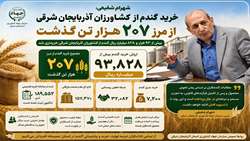 خرید گندم از کشاورزان آذربایجان شرقی از مرز ۲۰۷ هزار تن گذشت